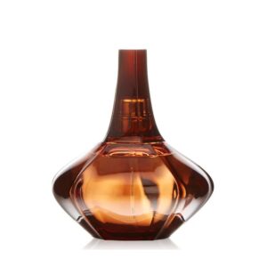 Calvin Klein Secret Obsession EDP For Women 100ML